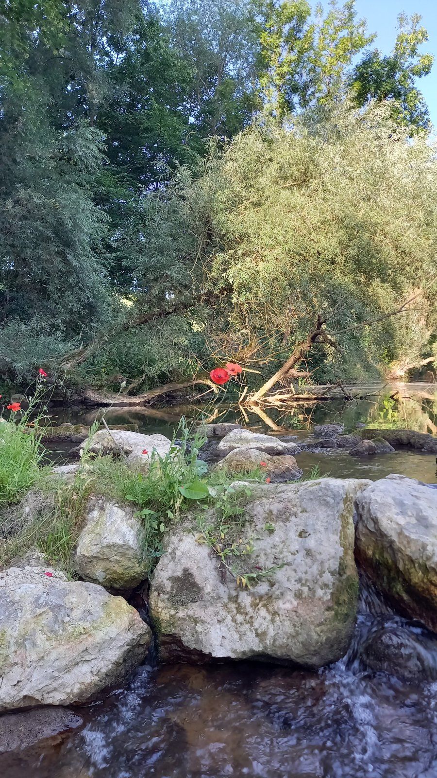 20220720_080817.jpg