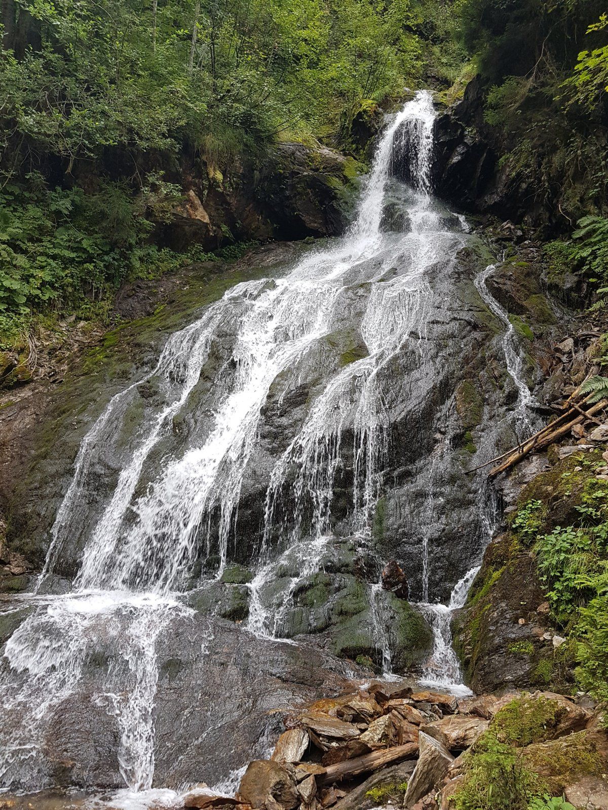 20220807_112437.jpg