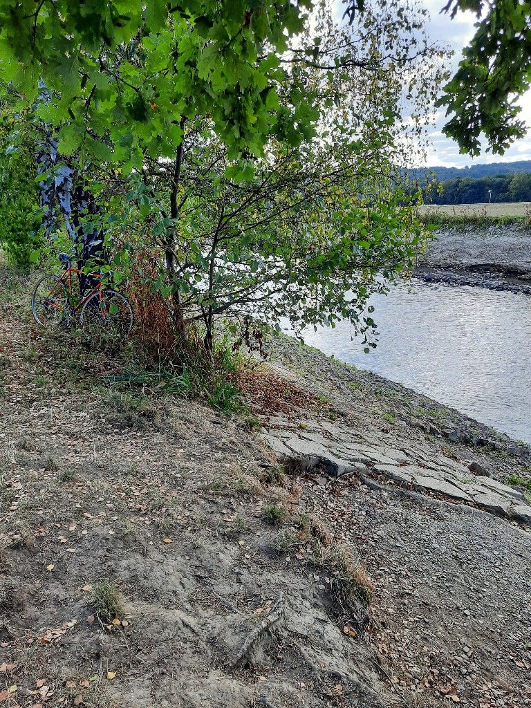 20220905_112439_copy_768x1024.jpg