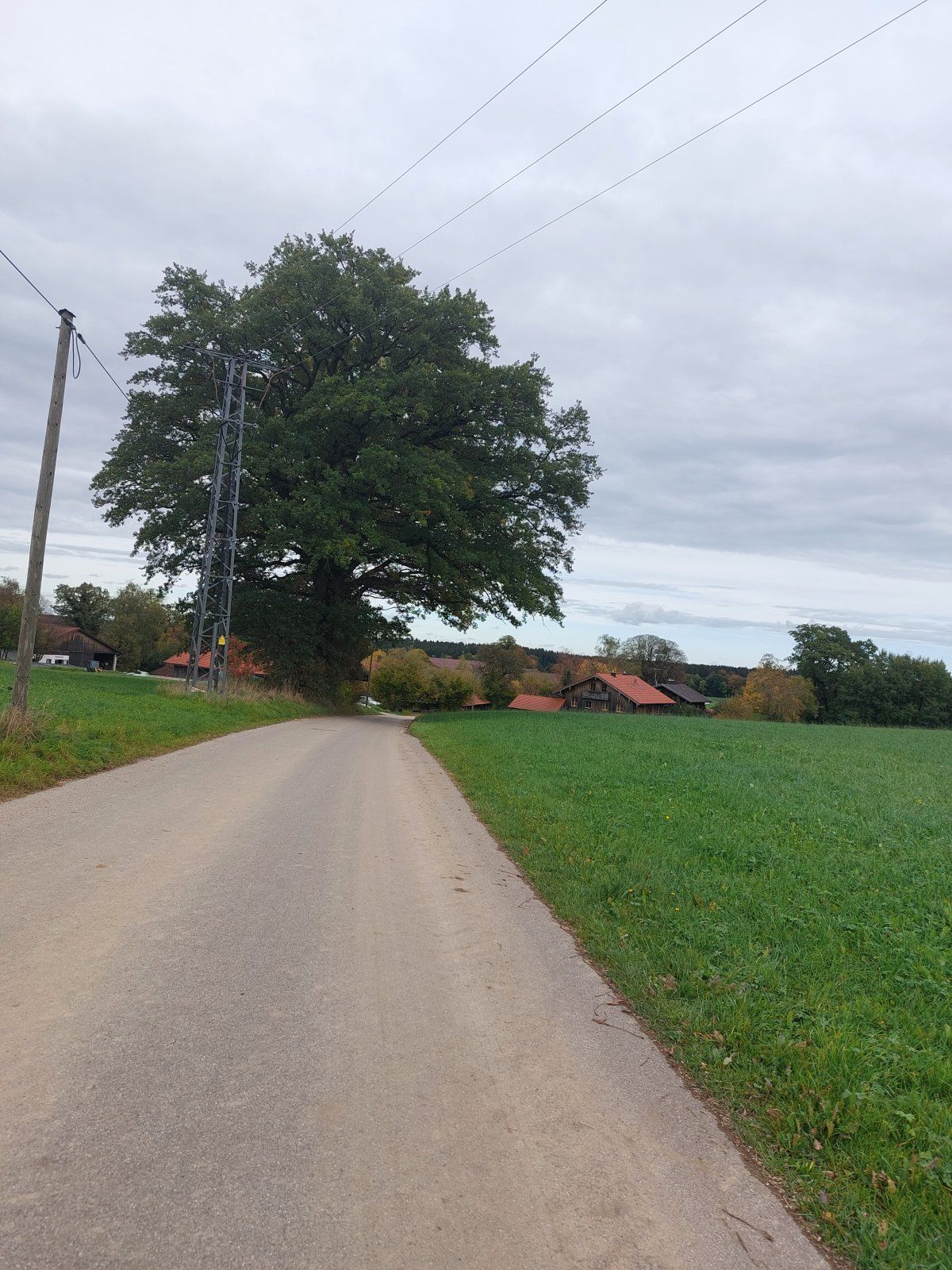20221014_144704.jpg