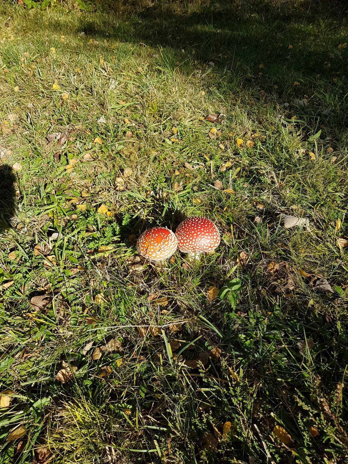 20221017_103646.jpg