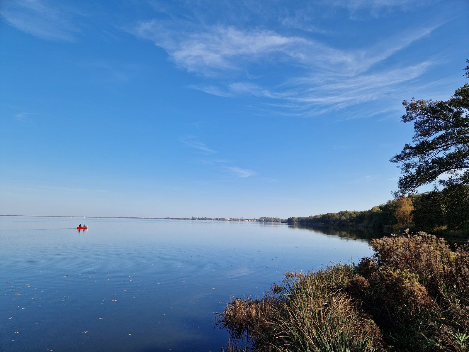 20221030_123133.jpg