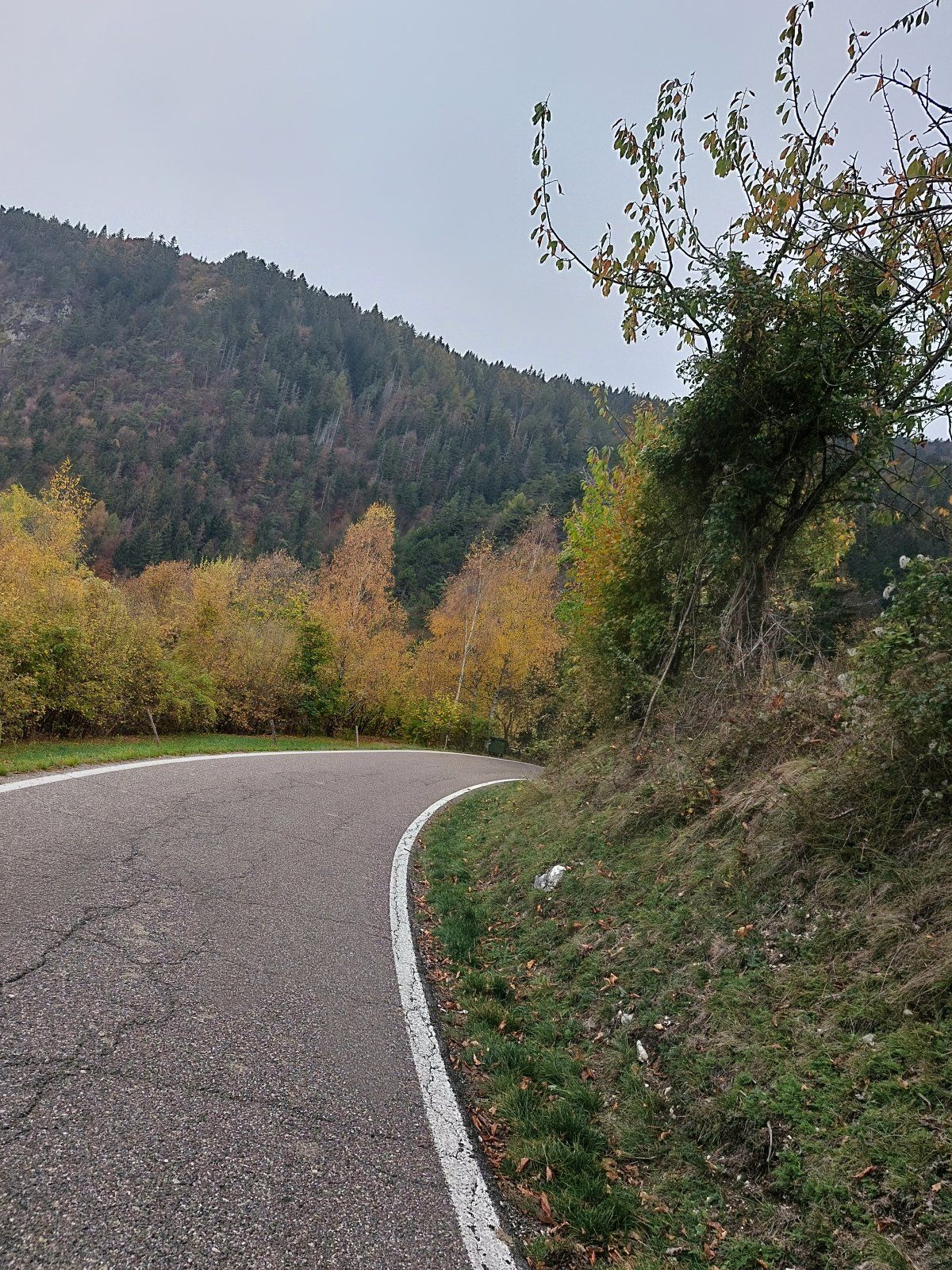 20221101_121927.jpg