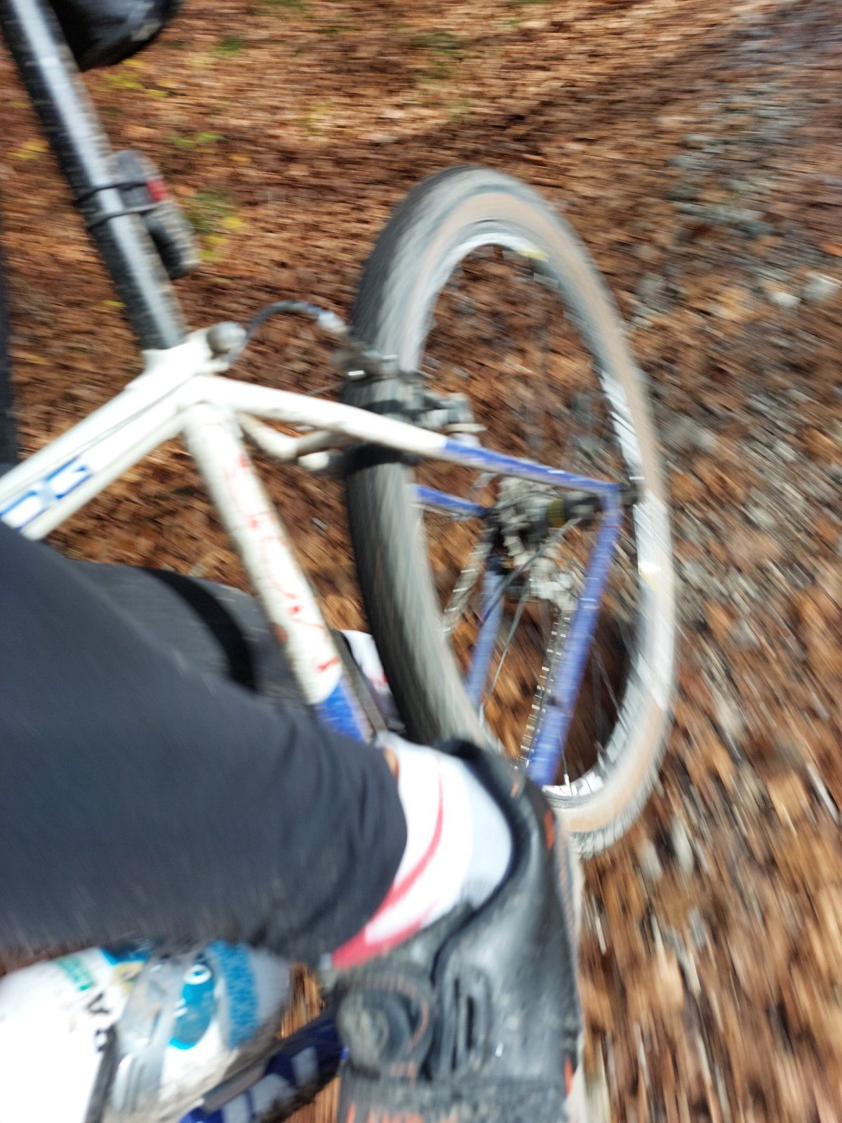 20221106_140759.jpg