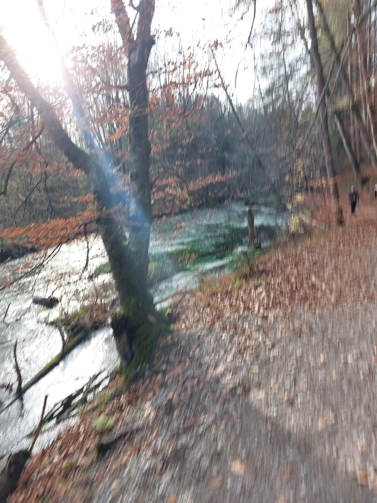 20221106_140854.jpg