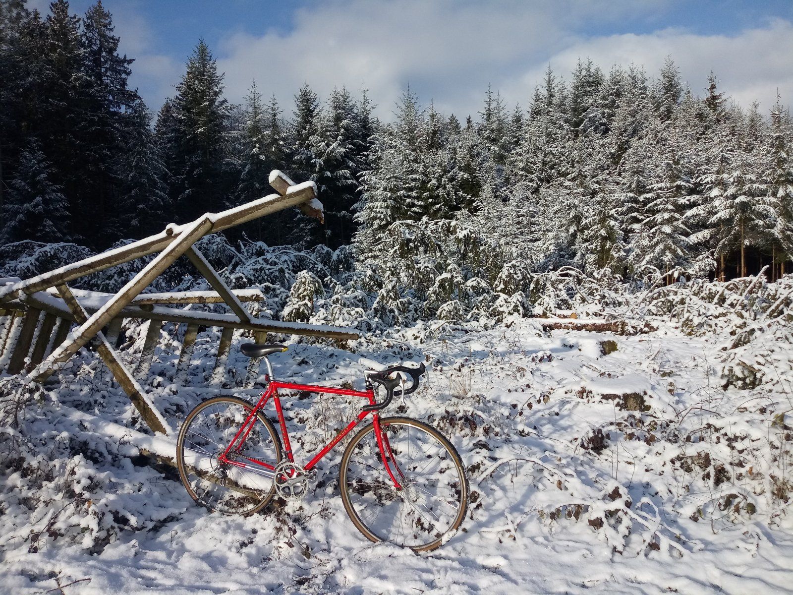 20221211_113326.jpg