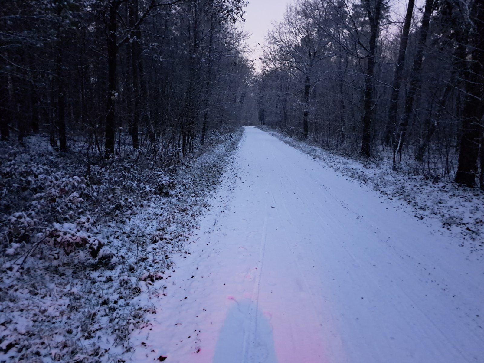 20221214_170633.jpg