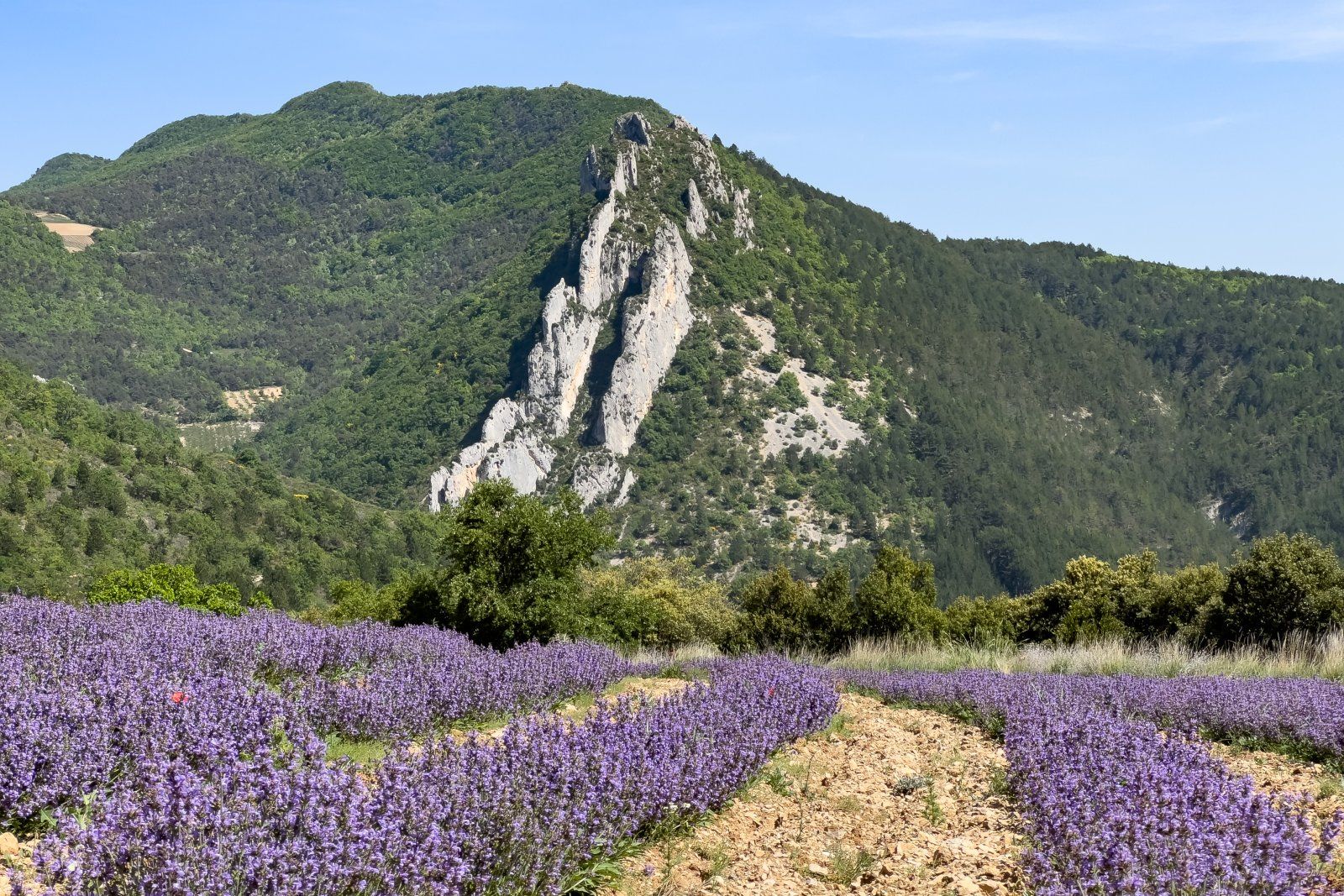 2022_05_14__Frankreich__274.jpg