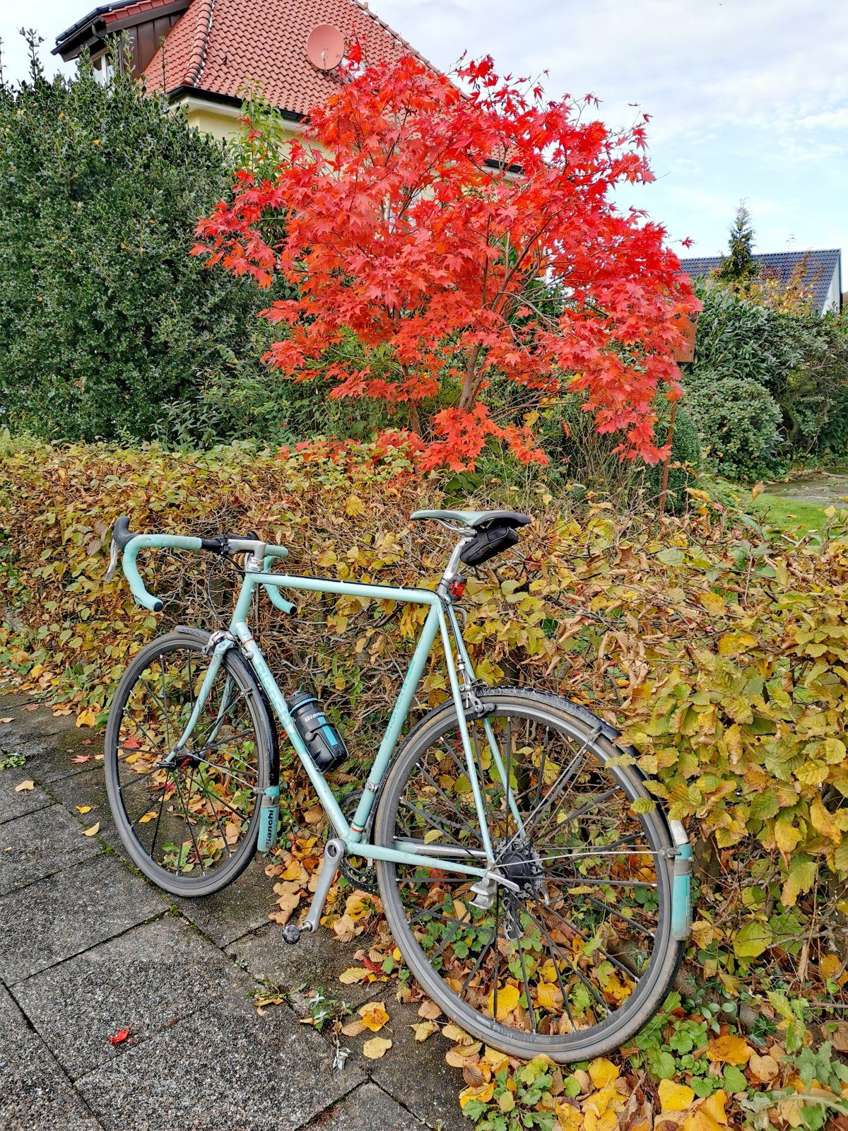 2023-11-01 14.37.52.jpg