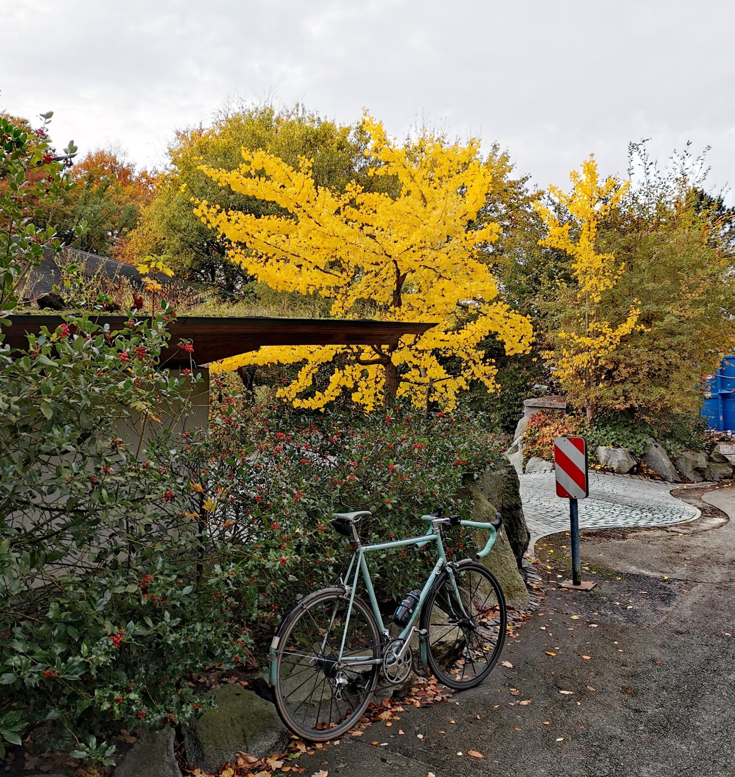 2023-11-01 14.40.51.jpg