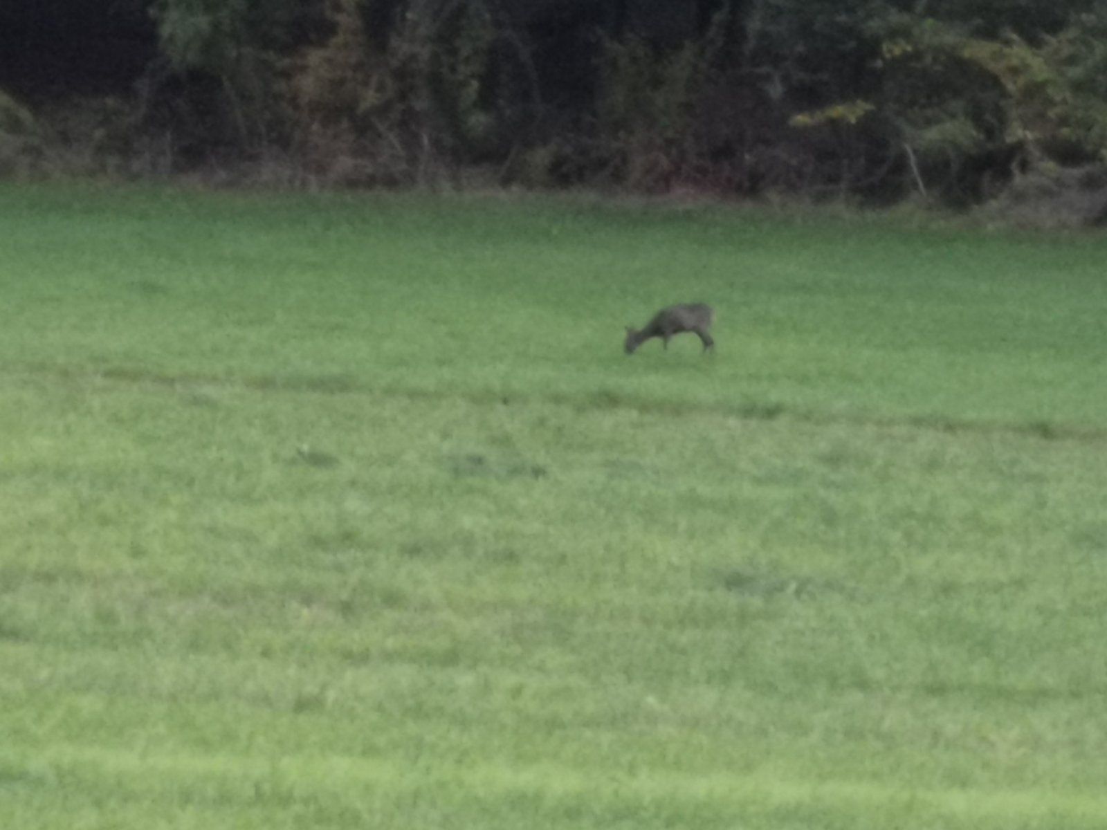 2023-11-01 16.44.29.jpg