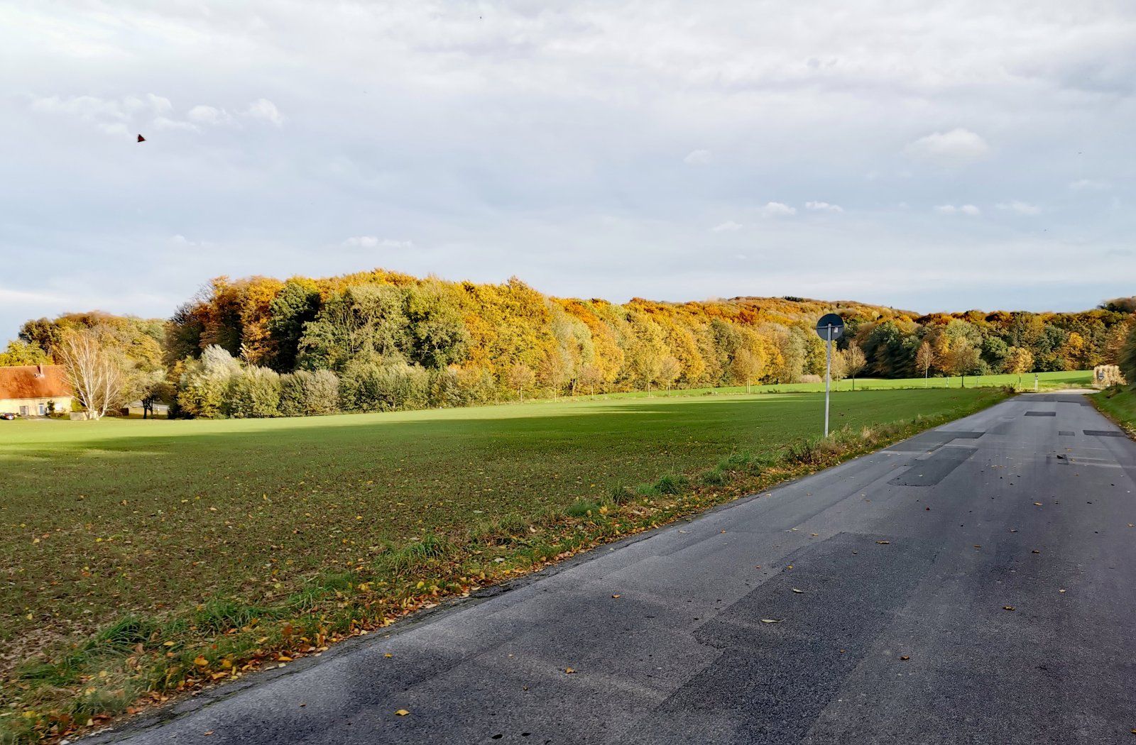 2023-11-02 15.14.03.jpg