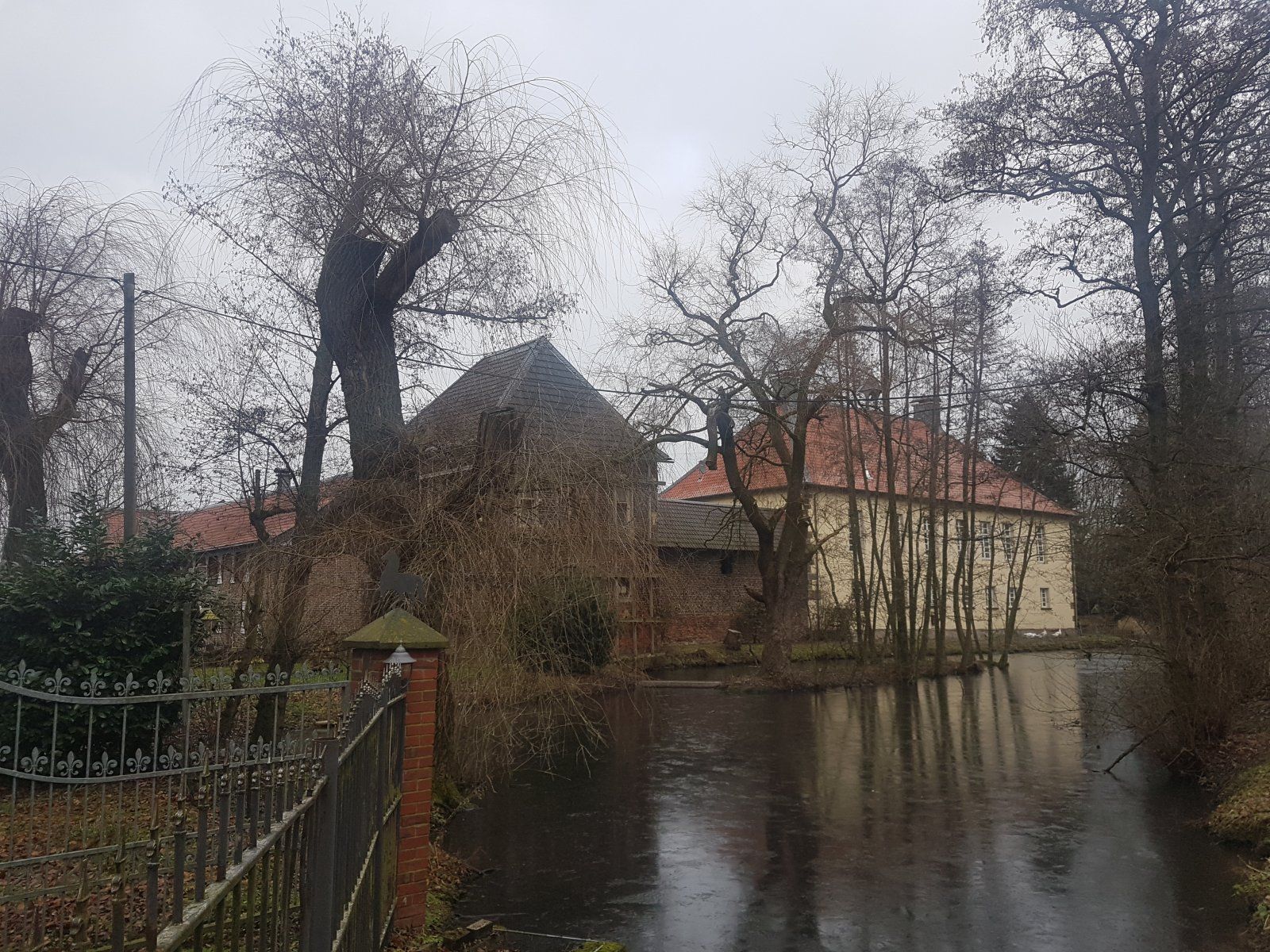 20230121_130442.jpg