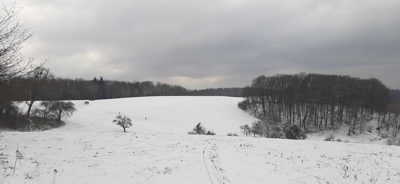 20230121_132226.jpg