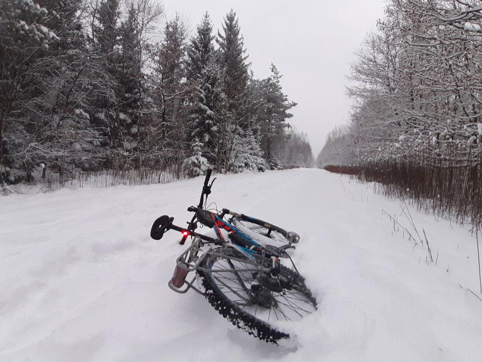 20230121_162702.jpg