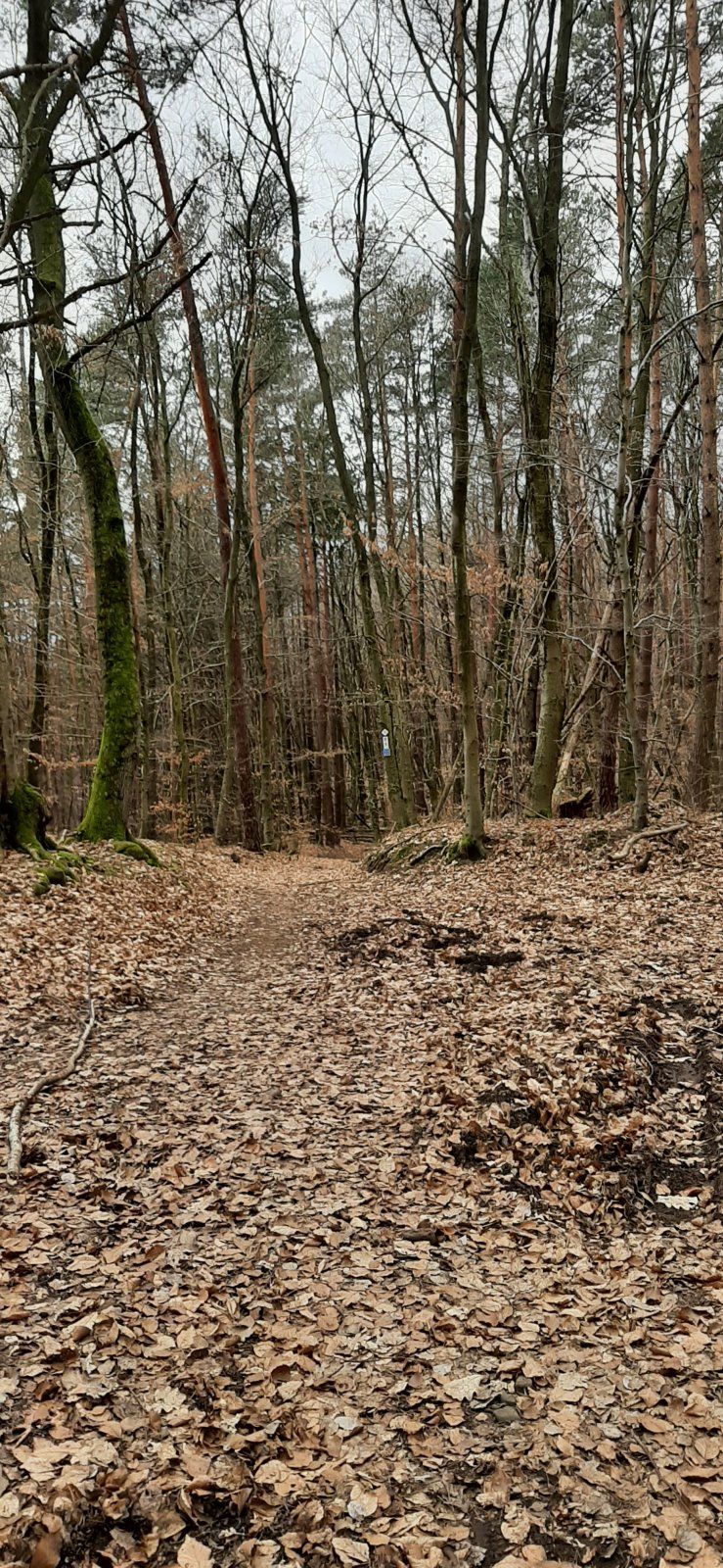 20230304_134435.jpg