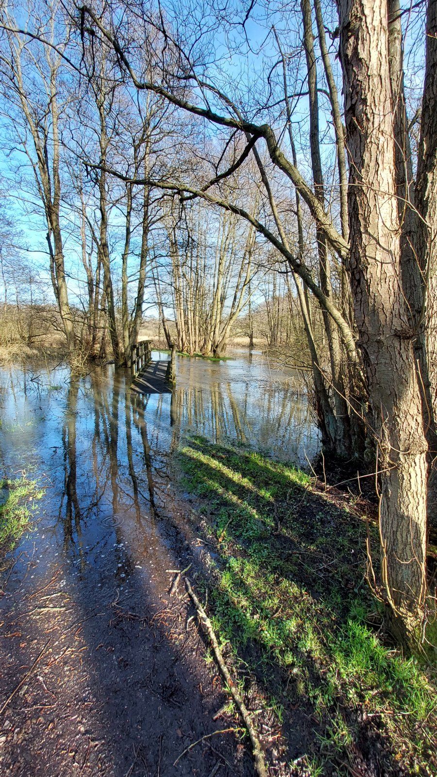 20230401_171321.jpg