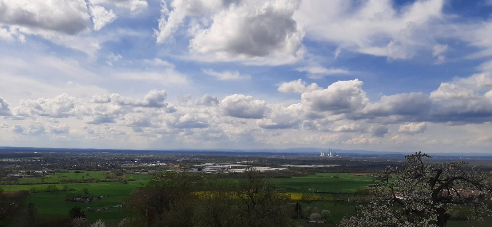 20230423_151534.jpg