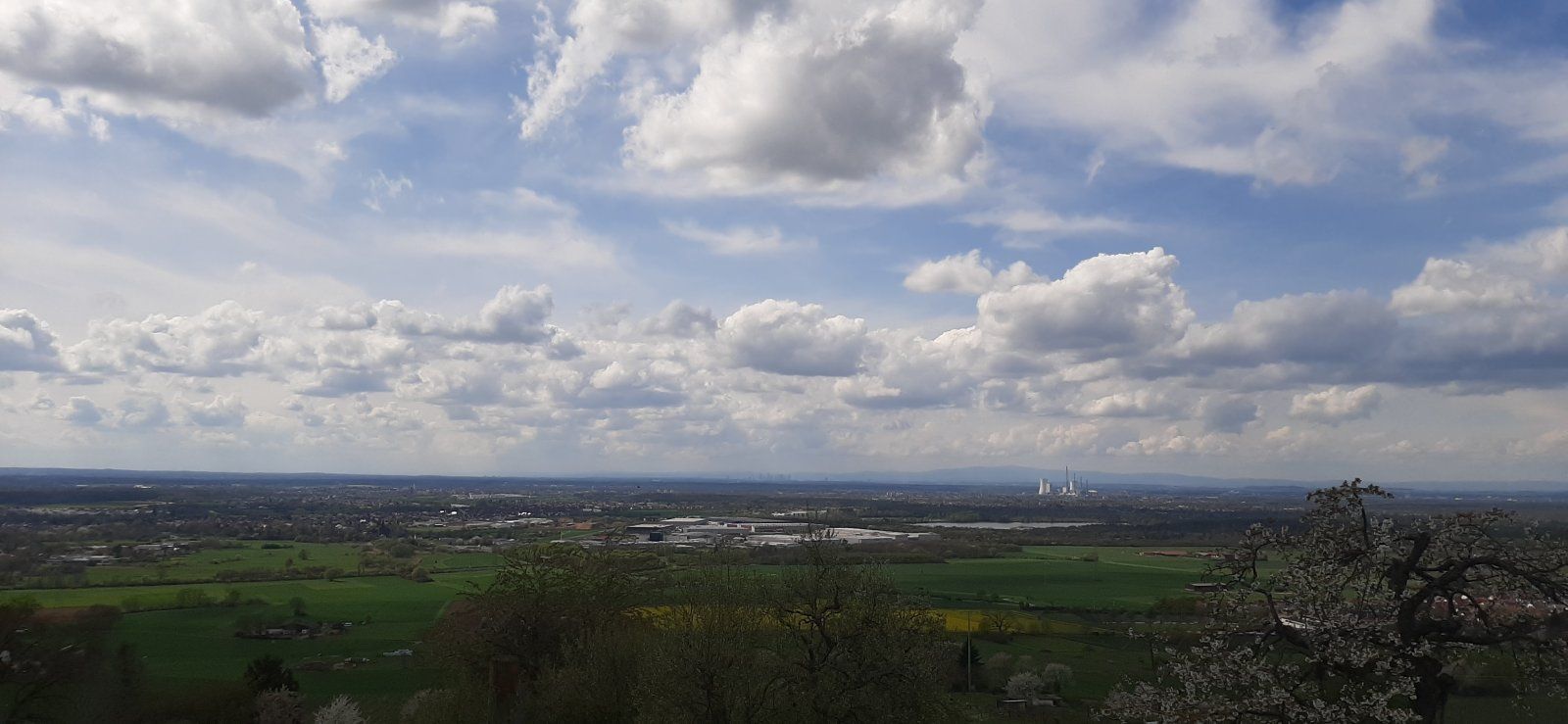 20230423_151539.jpg