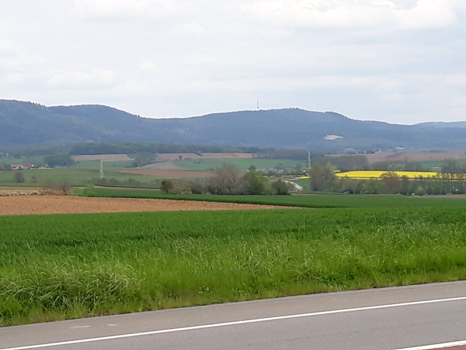 20230430_131221.jpg