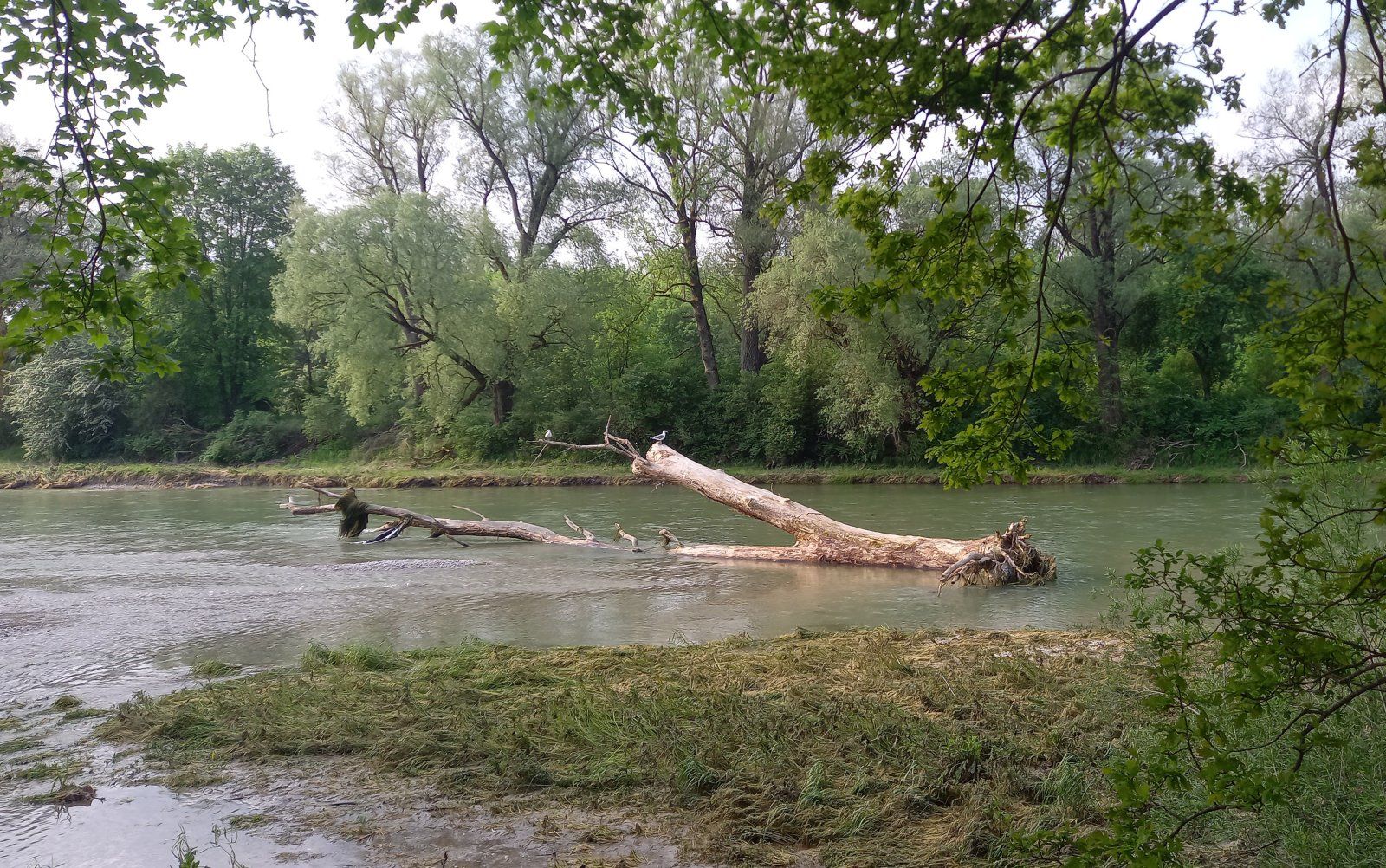20230523_080806.jpg