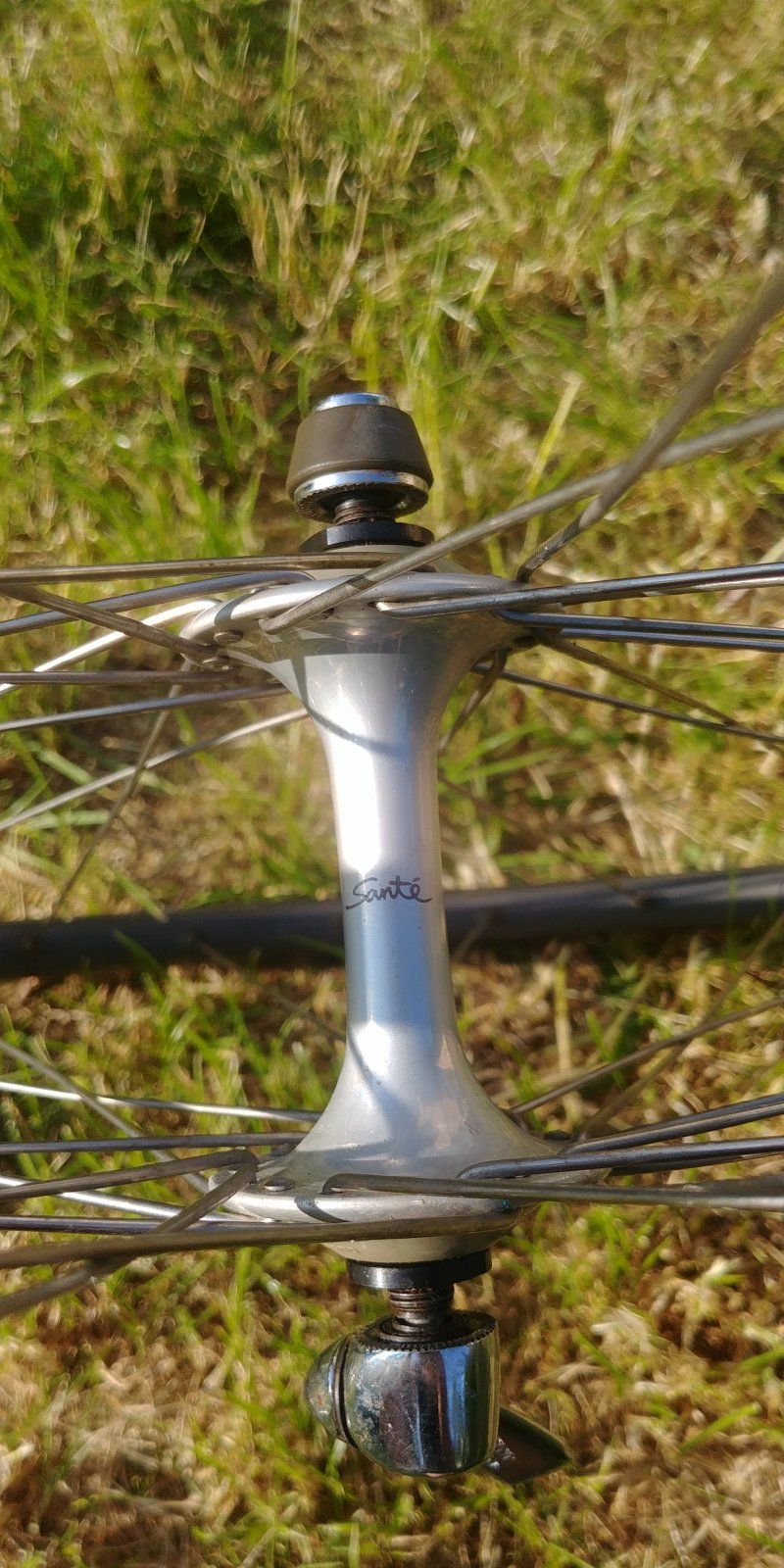 20230528_182835.jpg