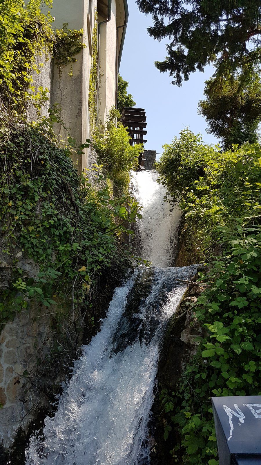 20230531_140117.jpg