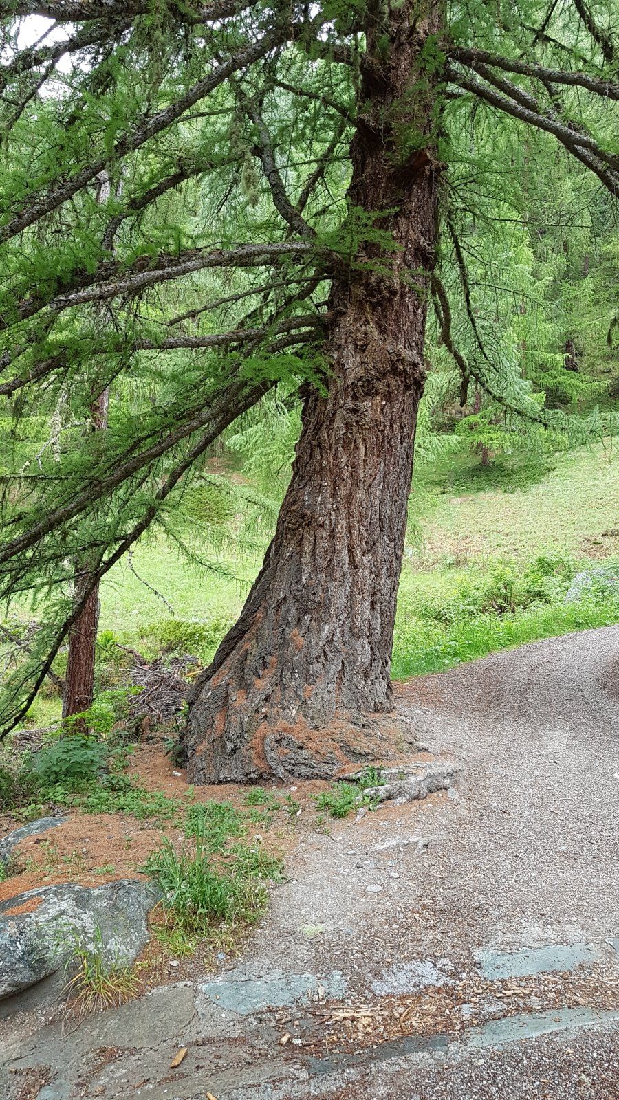 20230610_103016.jpg
