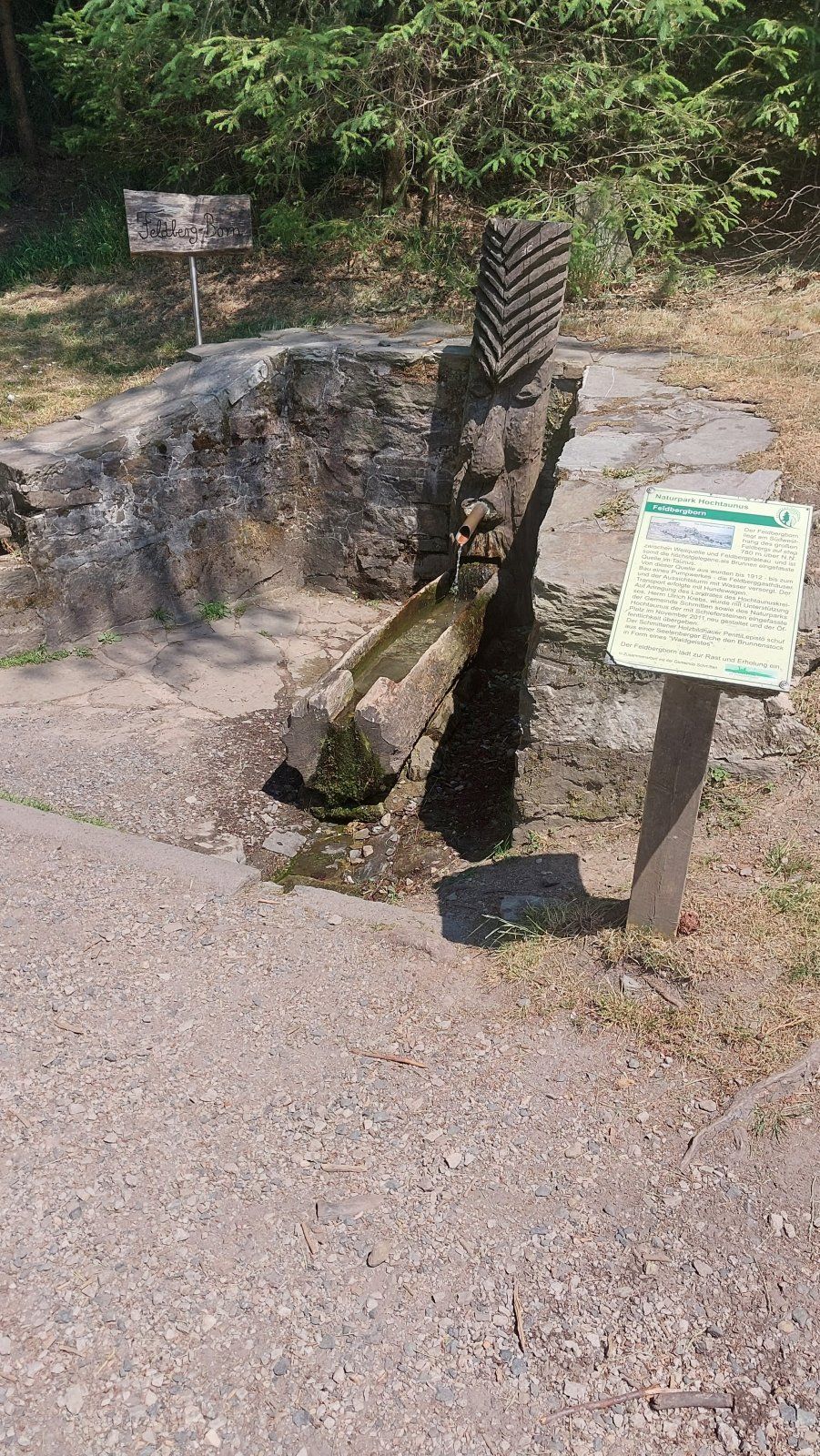 20230618_144005.jpg