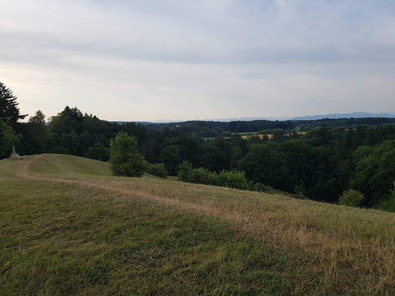 20230710_063739.jpg