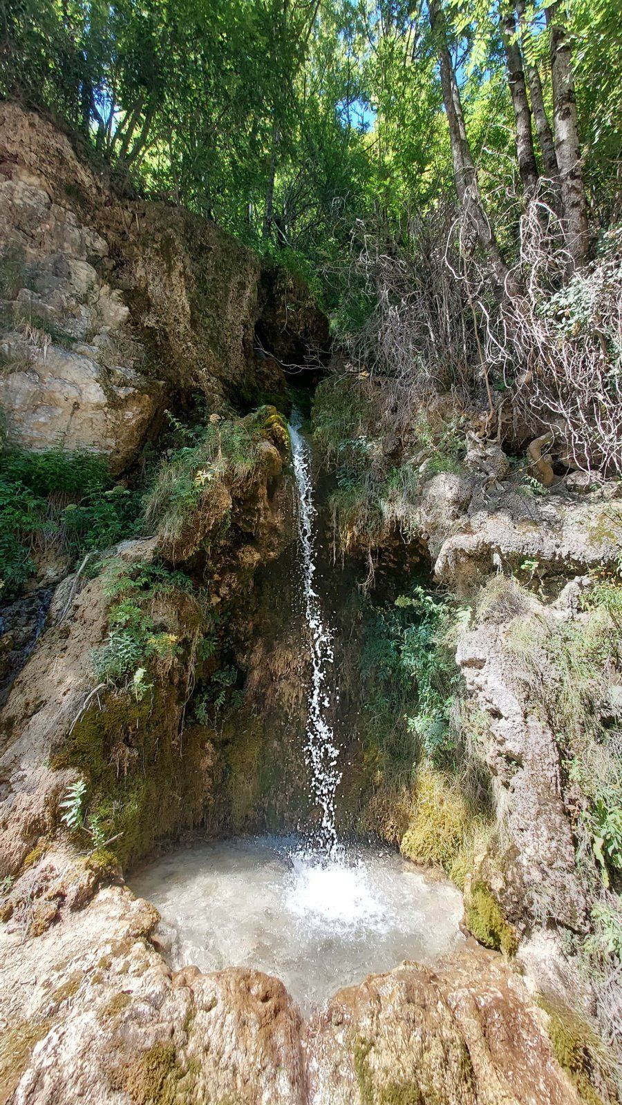 20230821_142139.jpg