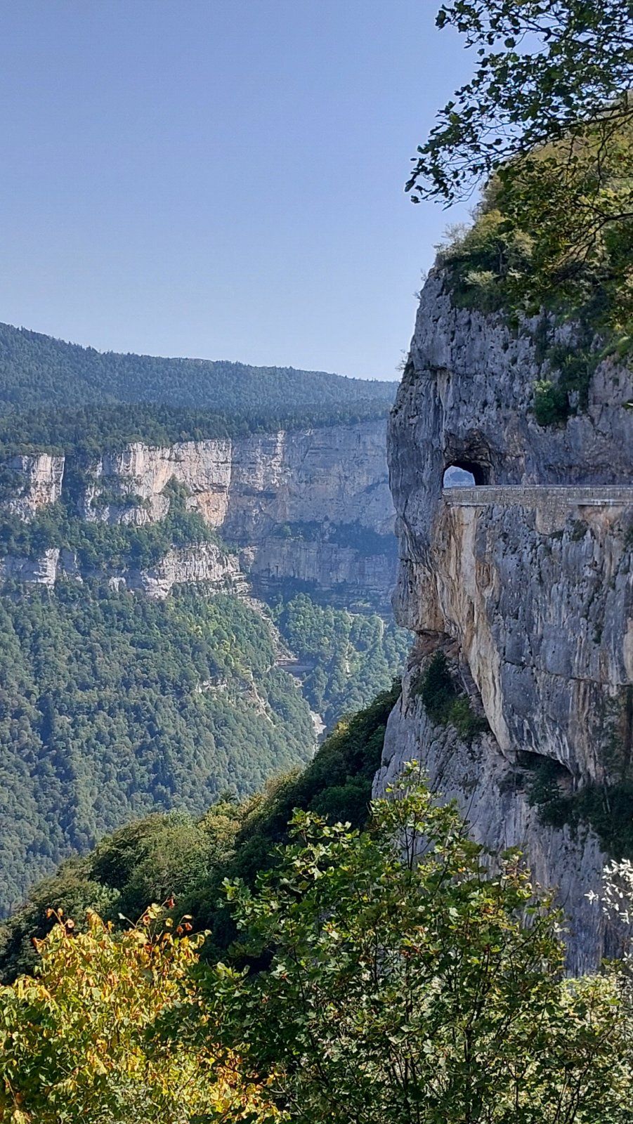 20230823_145412.jpg