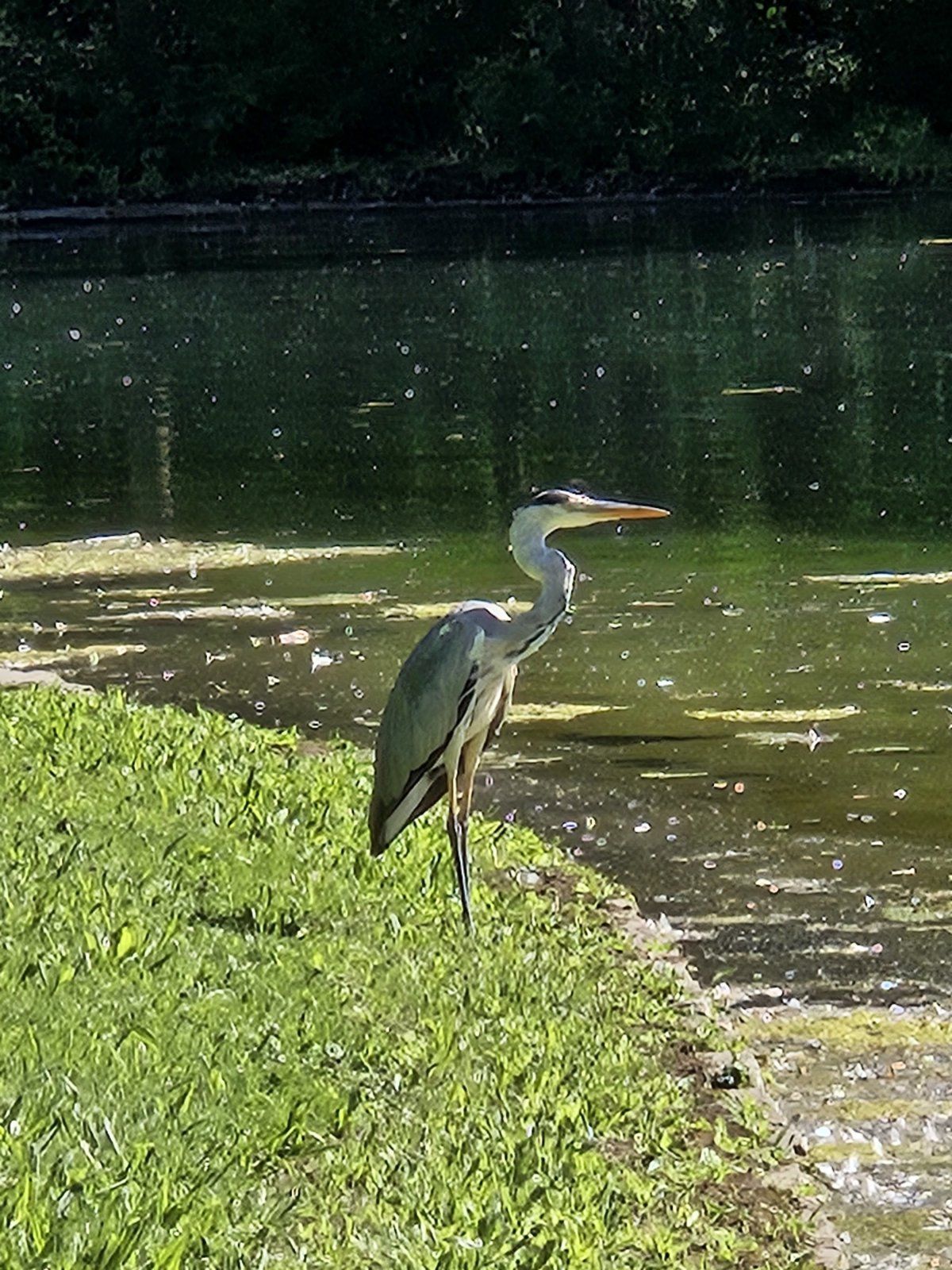20230906_140506.jpg