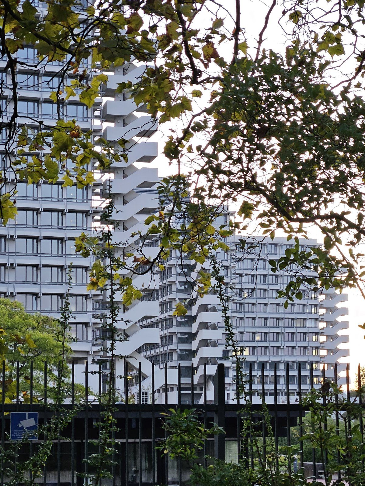 20230926_071608.jpg