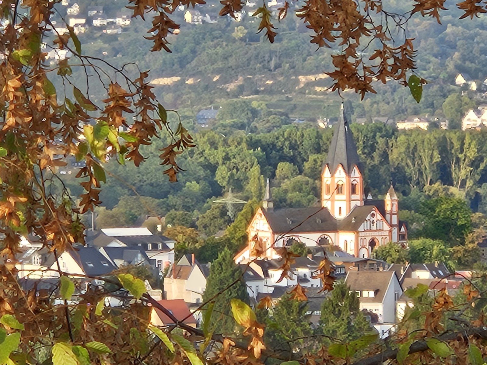 20230930_181923.jpg