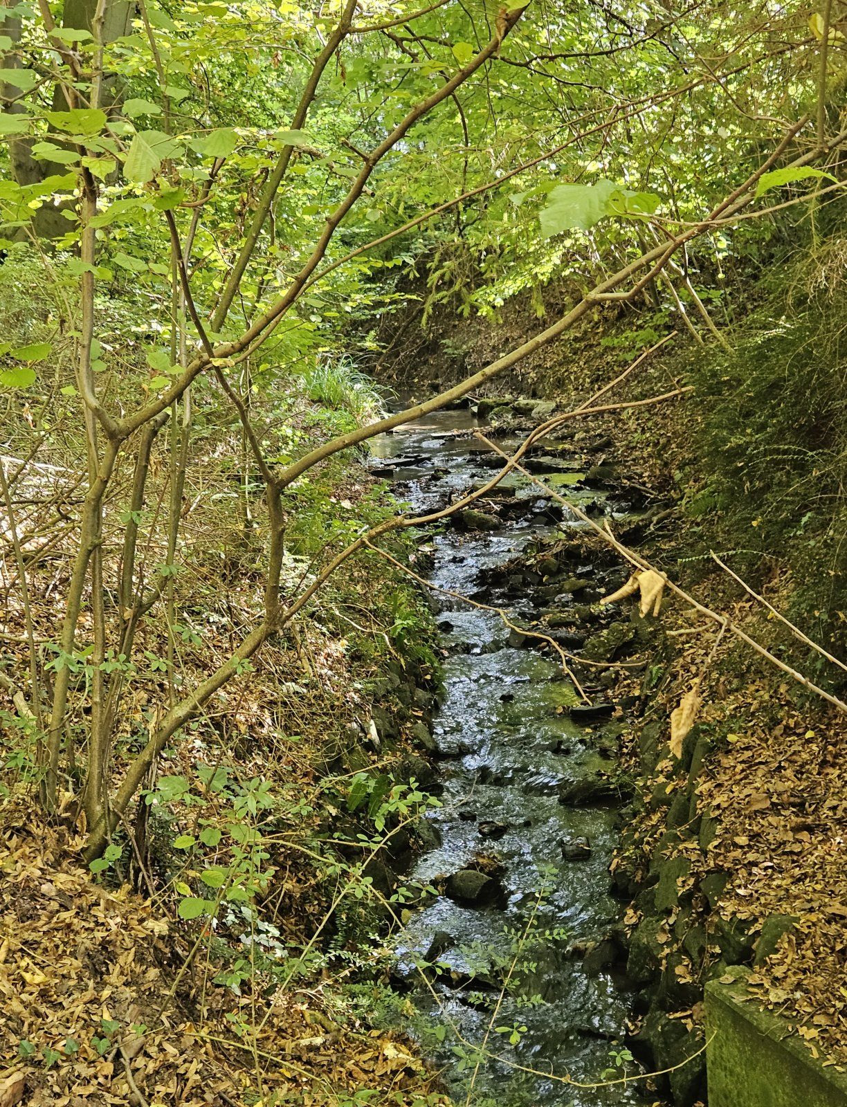 20231010_141129.jpg