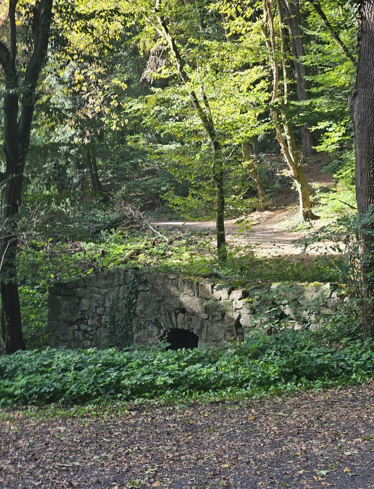 20231010_141748.jpg