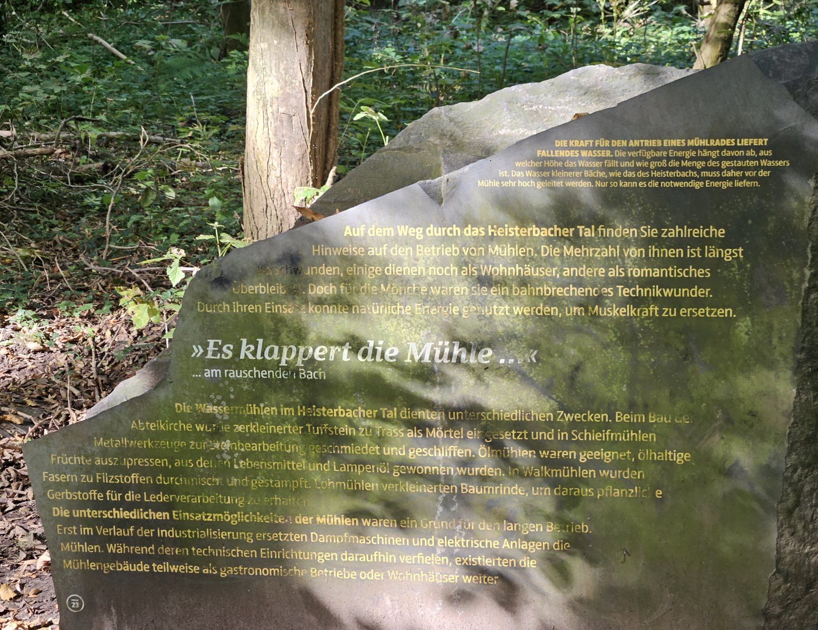 20231010_142358.jpg