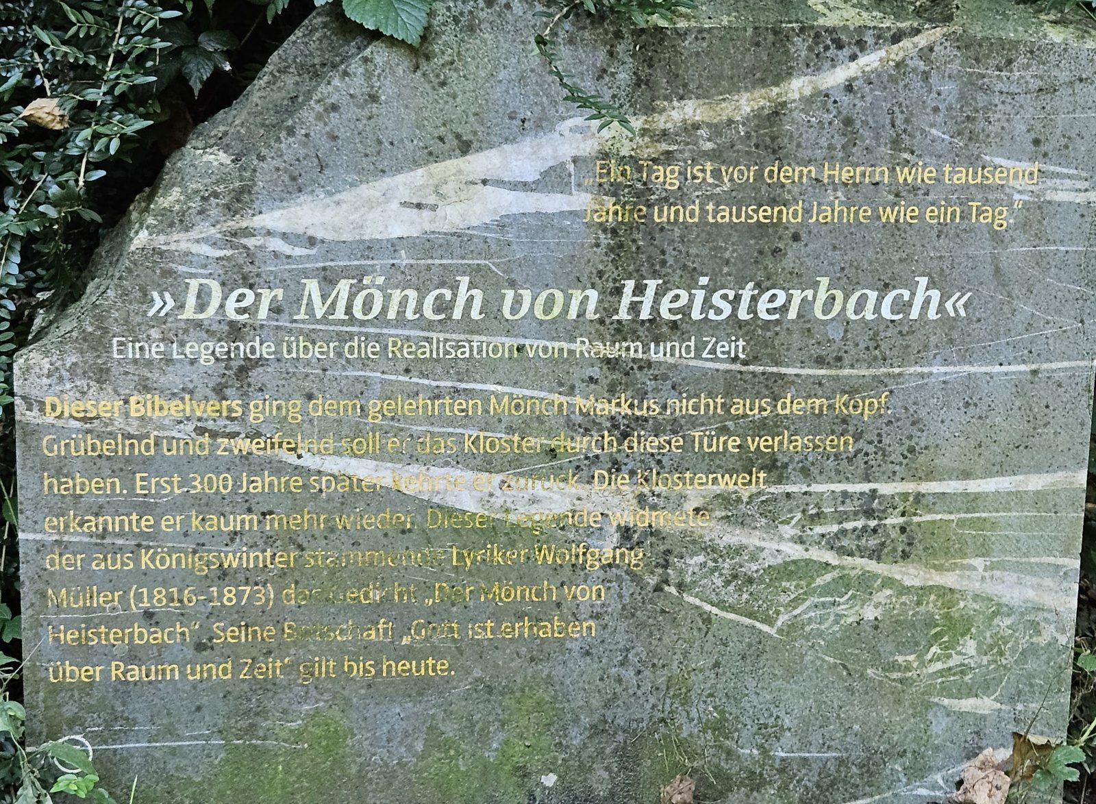 20231010_150406.jpg