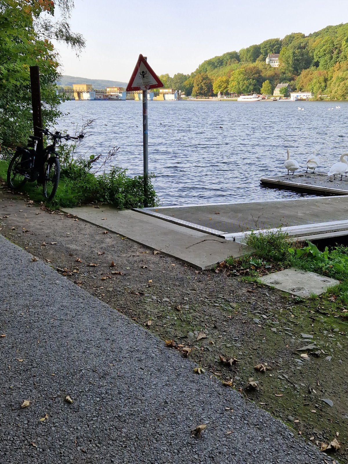 20231011_094902.jpg