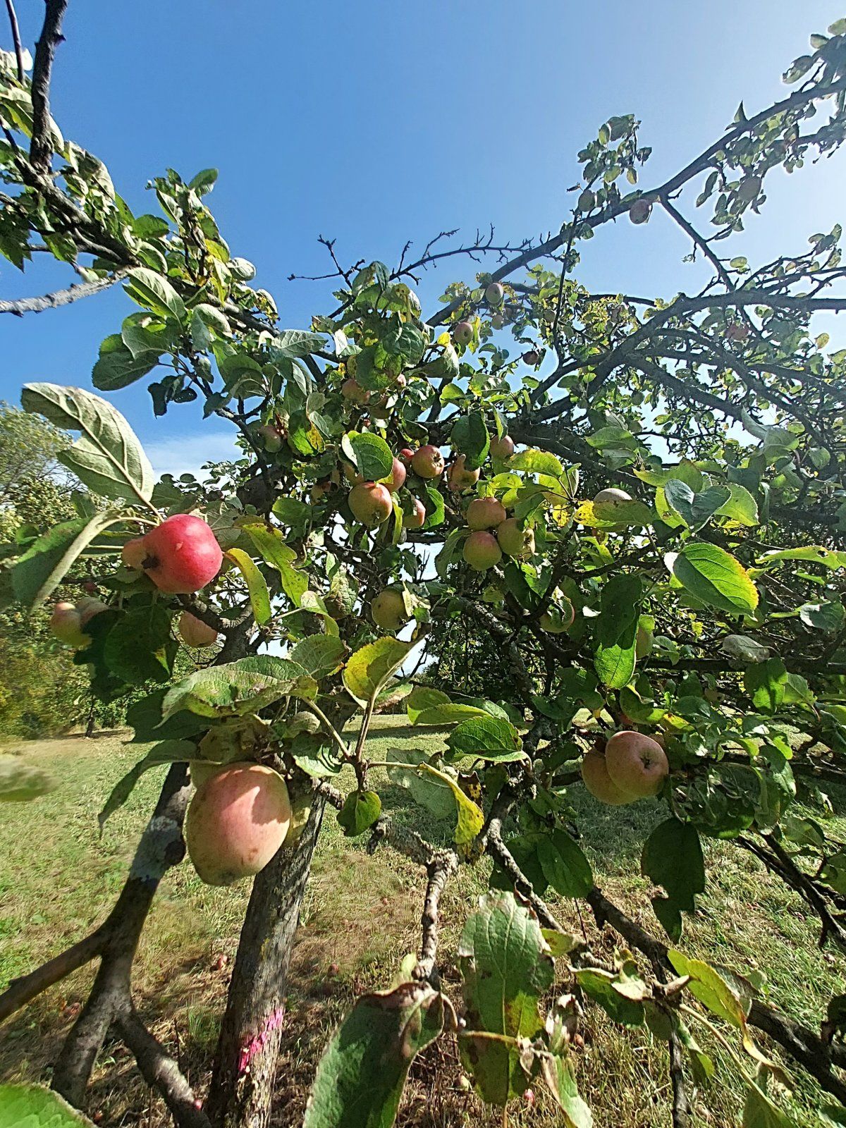20231013_133620.jpg