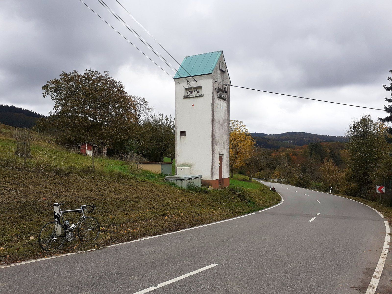 20231105_125341 (002).jpg