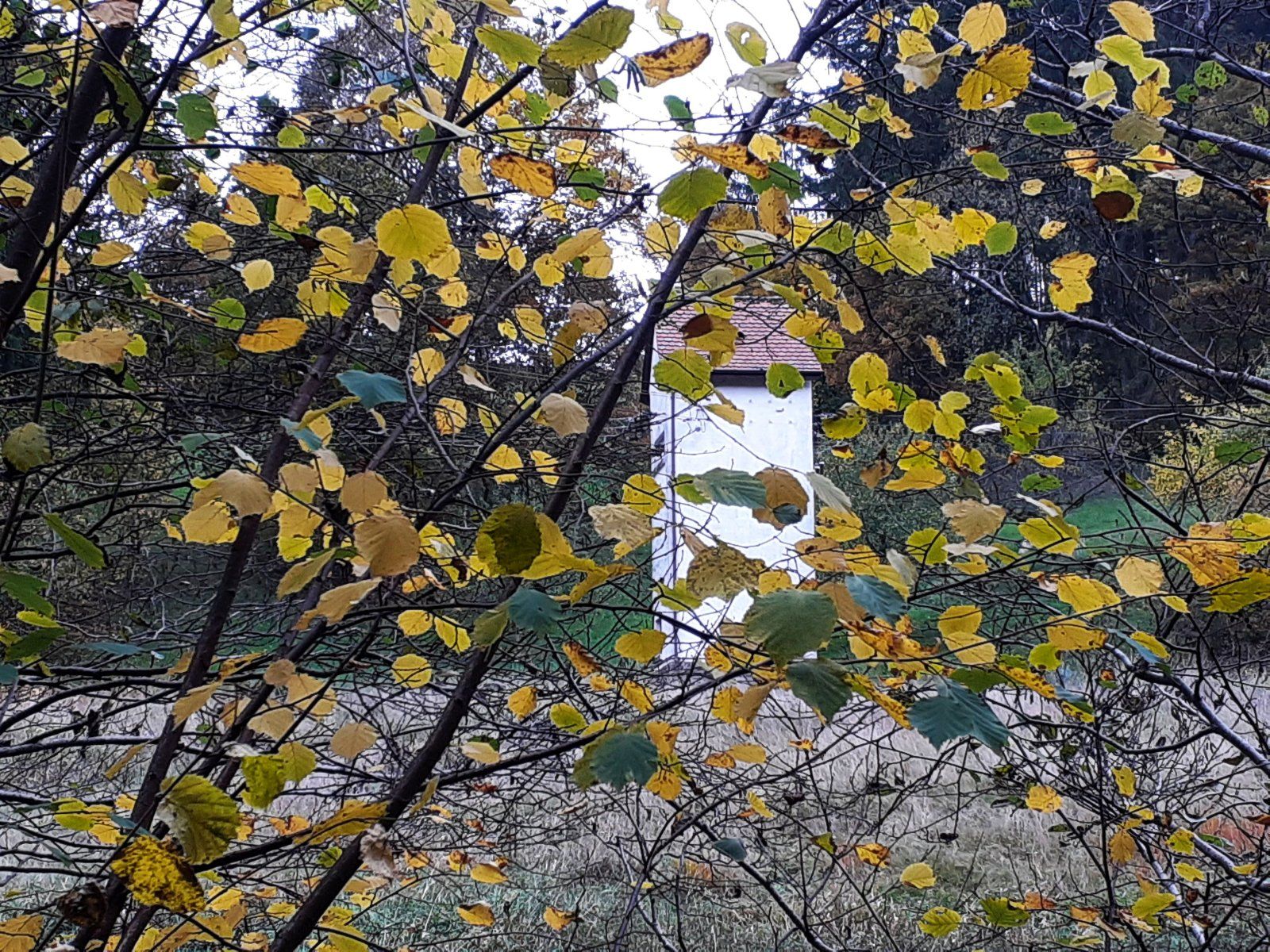 20231105_133204 (002).jpg