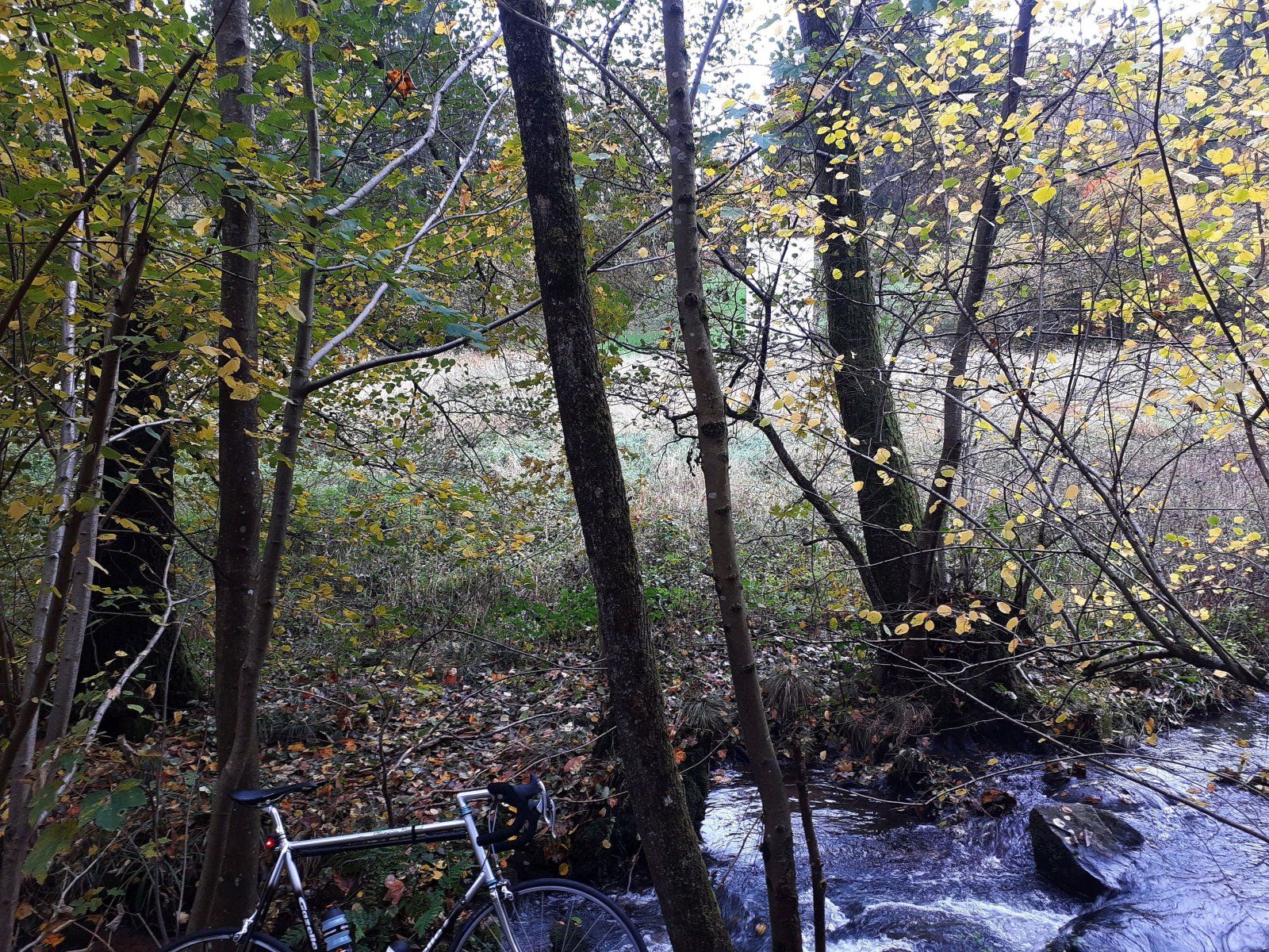 20231105_133328 (002).jpg