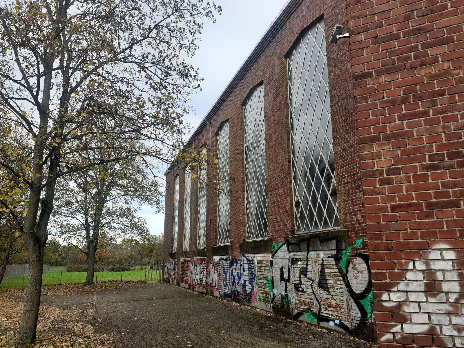 20231112_135009 (002).jpg