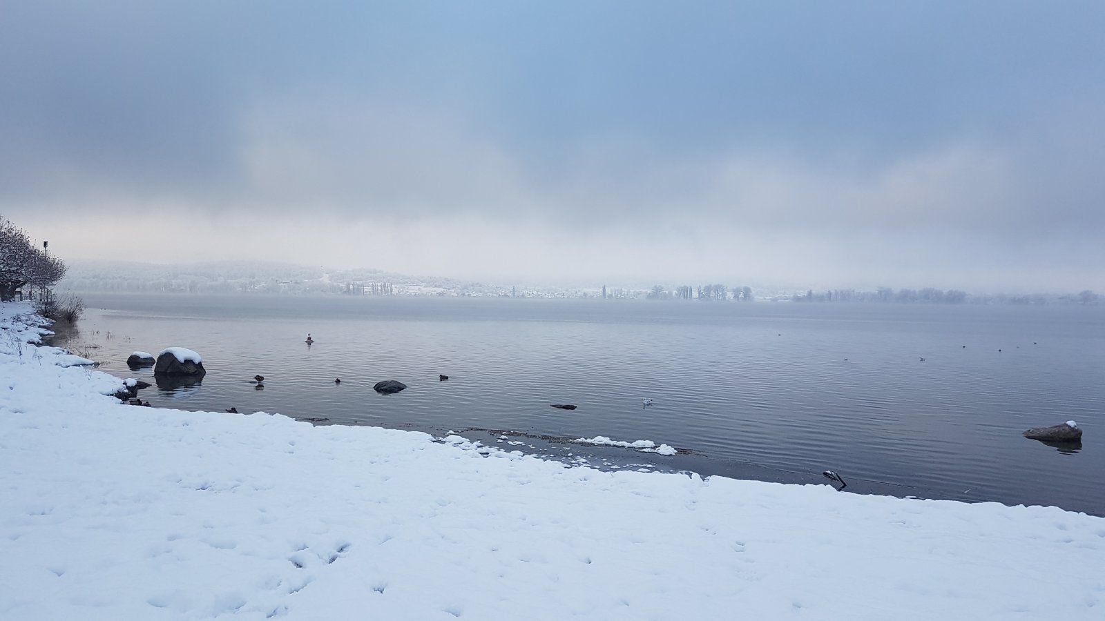 20231203_085147.jpg
