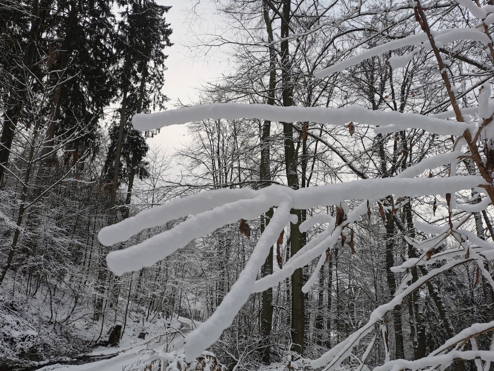 2024-01-20 10.14.49.jpg