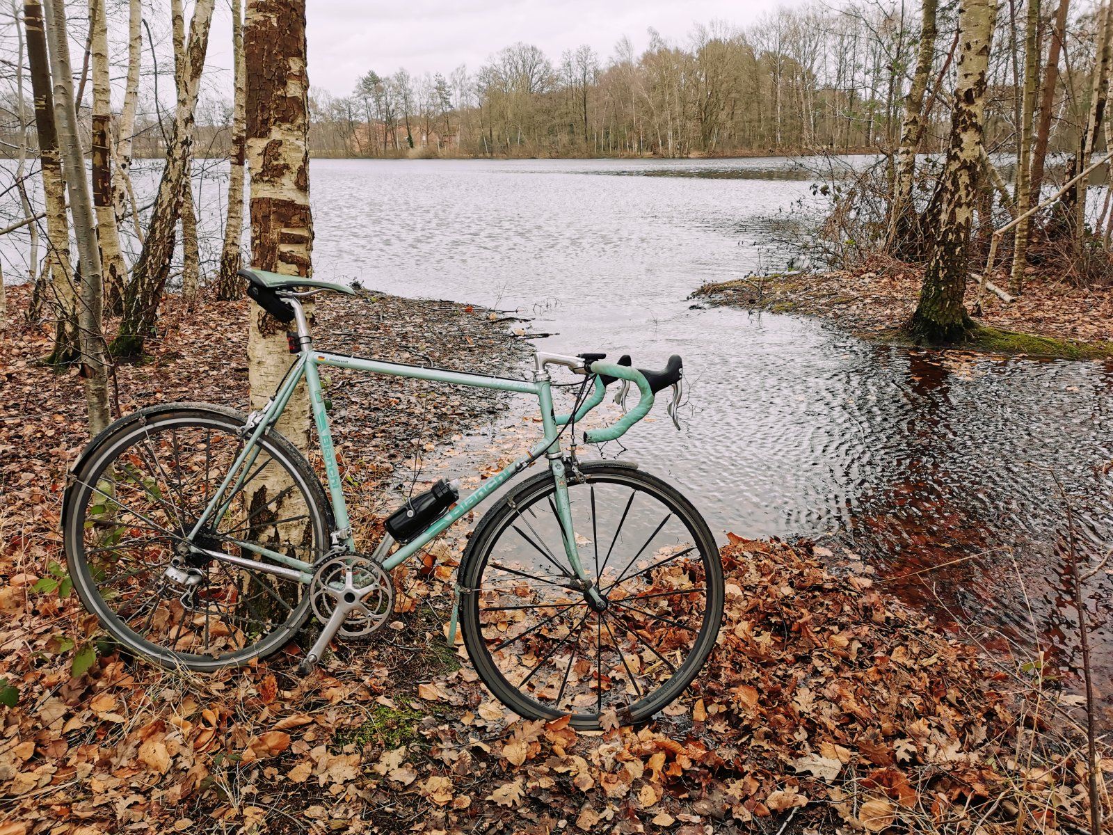 2024-01-24 13.47.42.jpg