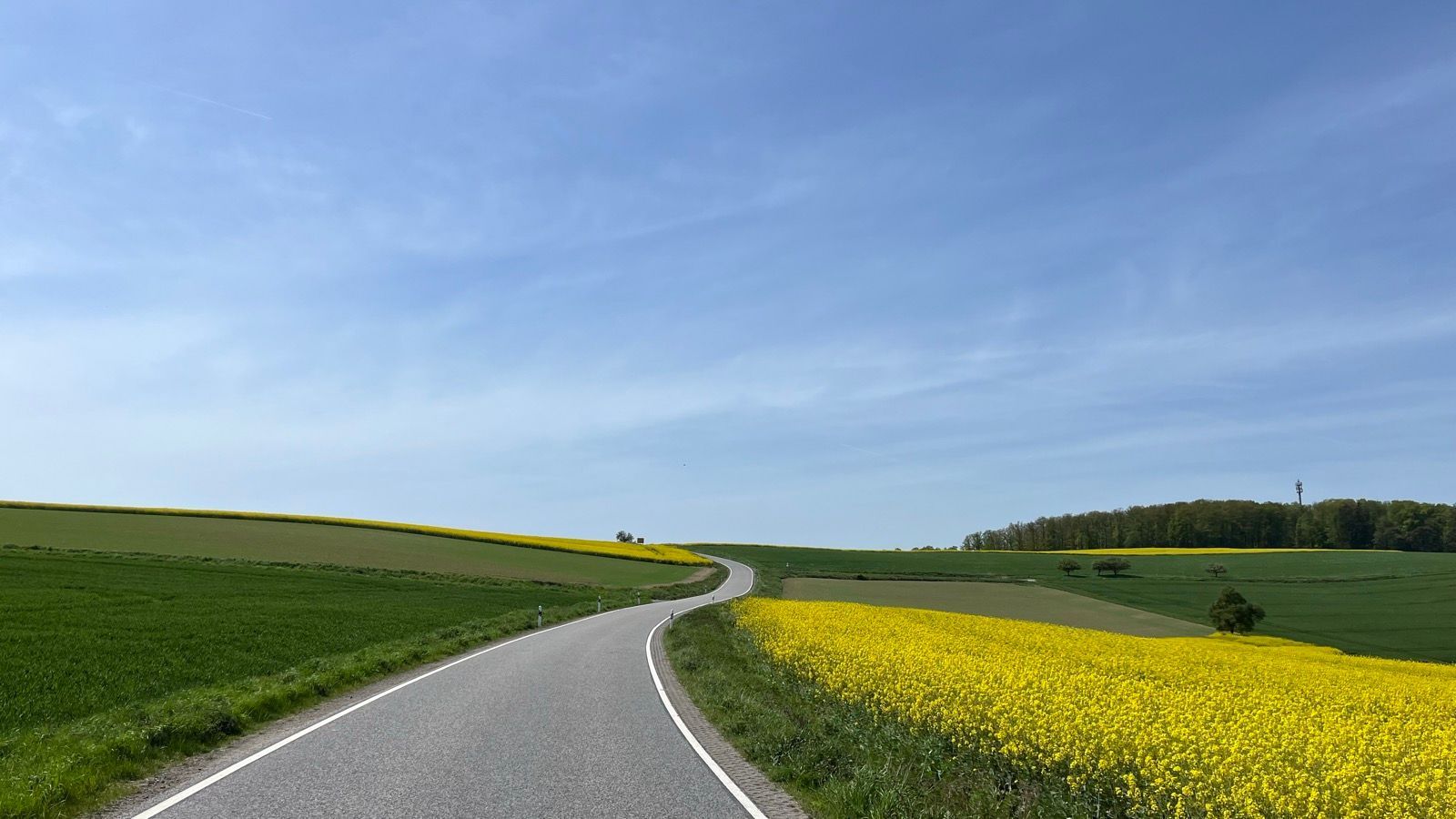 2024-05-01-Ober-Mörlen-Brandoberndorf-Saalburg-(04).jpg
