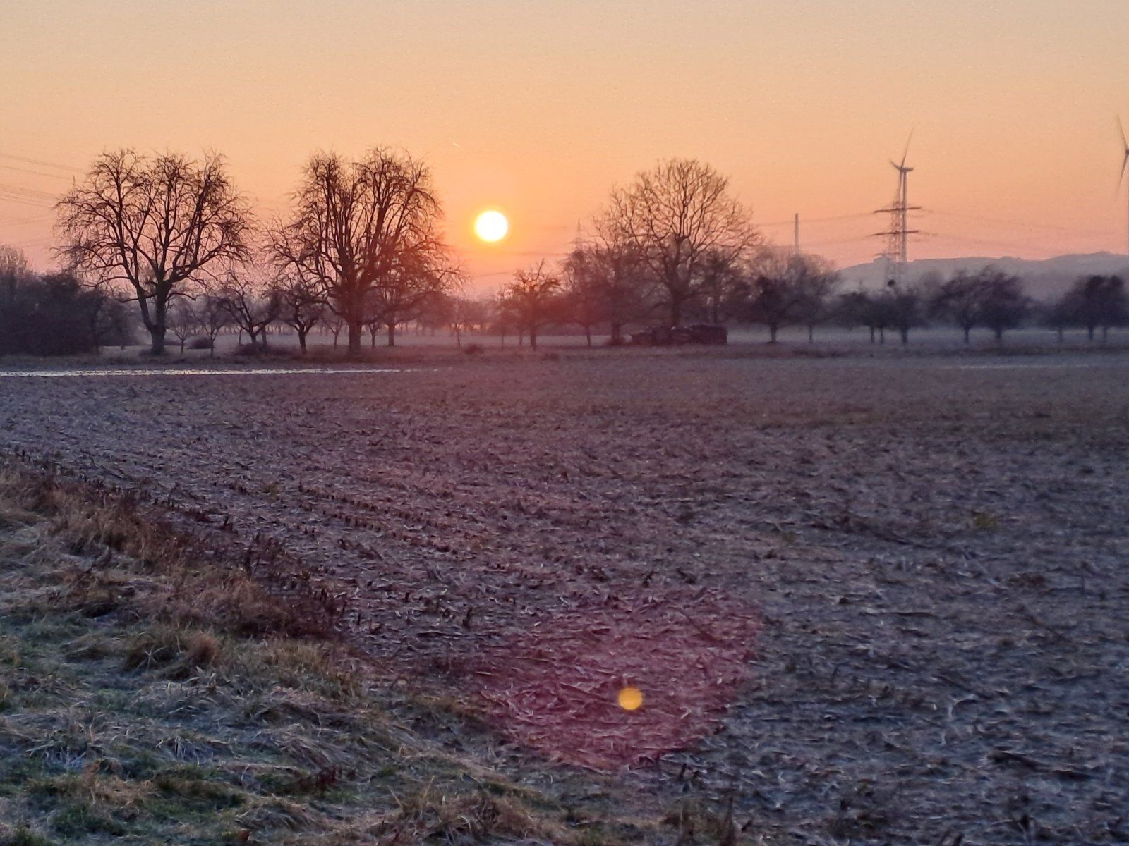 20240111_083914.jpg